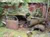 SANY2121m.jpg - 2010:08:17 11:09:53