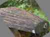SANY2125m.jpg - 2010:08:17 11:20:29