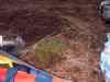 SANY2137m.jpg - 2010:08:18 20:14:19