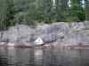 SANY2148m.jpg - 2010:08:19 12:04:35