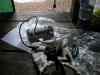 SANY2155m.jpg - 2010:08:21 11:03:34