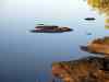 SANY2166m.jpg - 2010:08:23 06:44:37