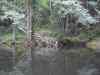 SANY2208m.jpg - 2010:08:26 12:31:51