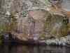SANY2217m.jpg - 2010:08:26 13:54:05