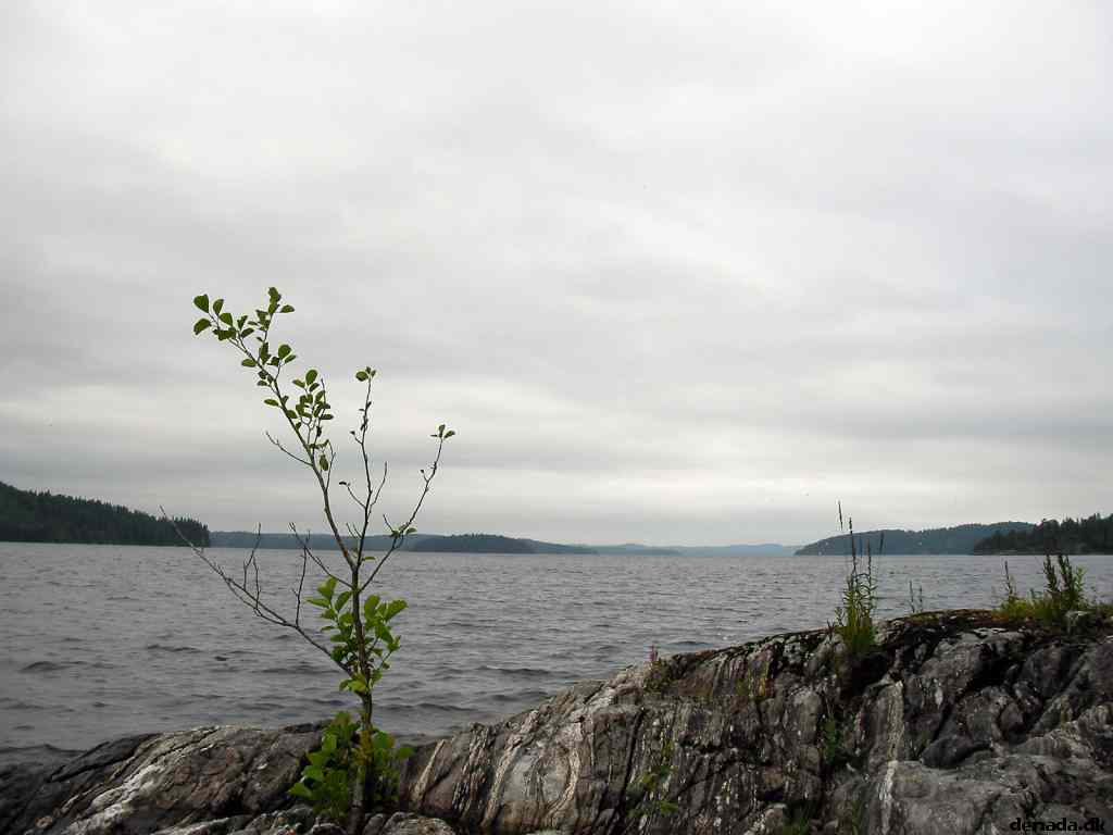* Image 6