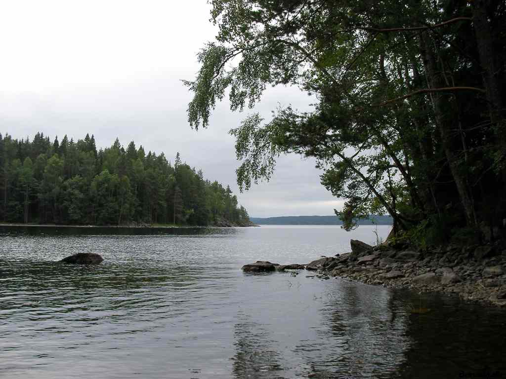 * Image 7