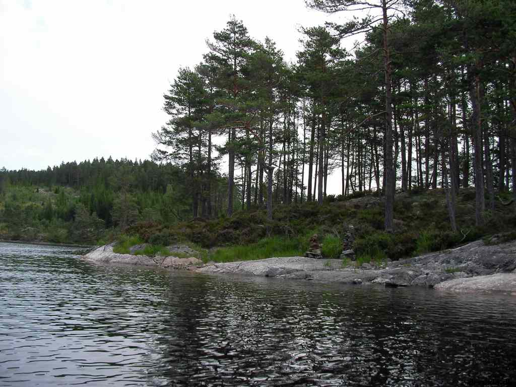 * Image 11