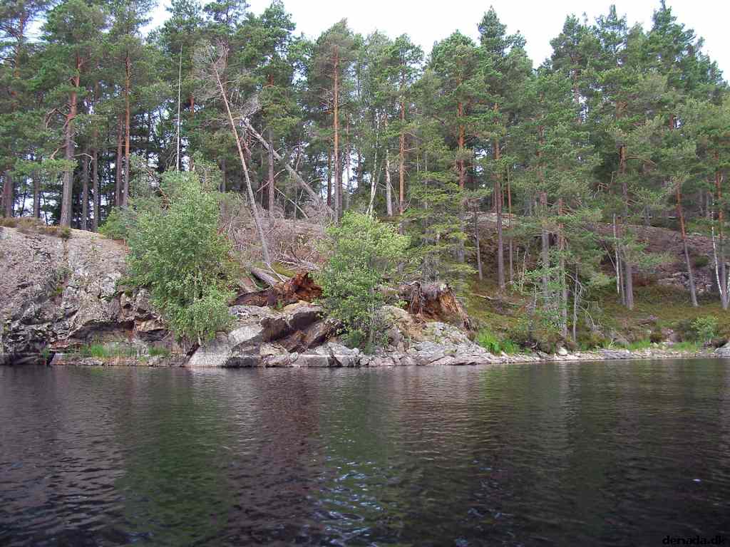 * Image 12