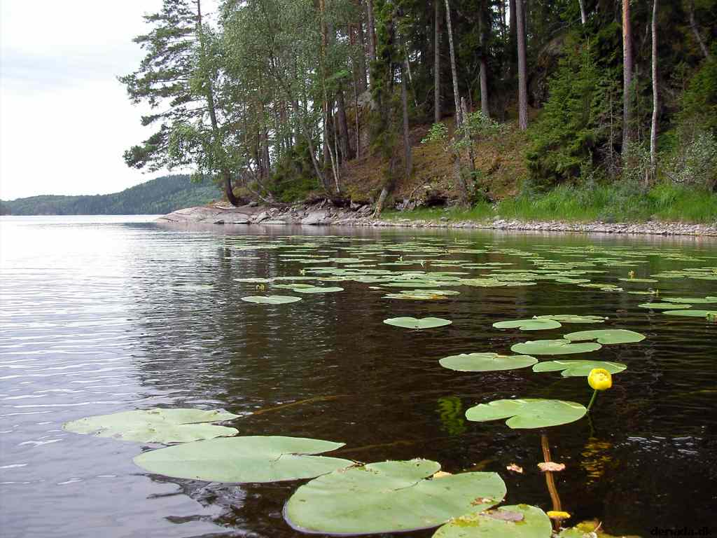 * Image 16