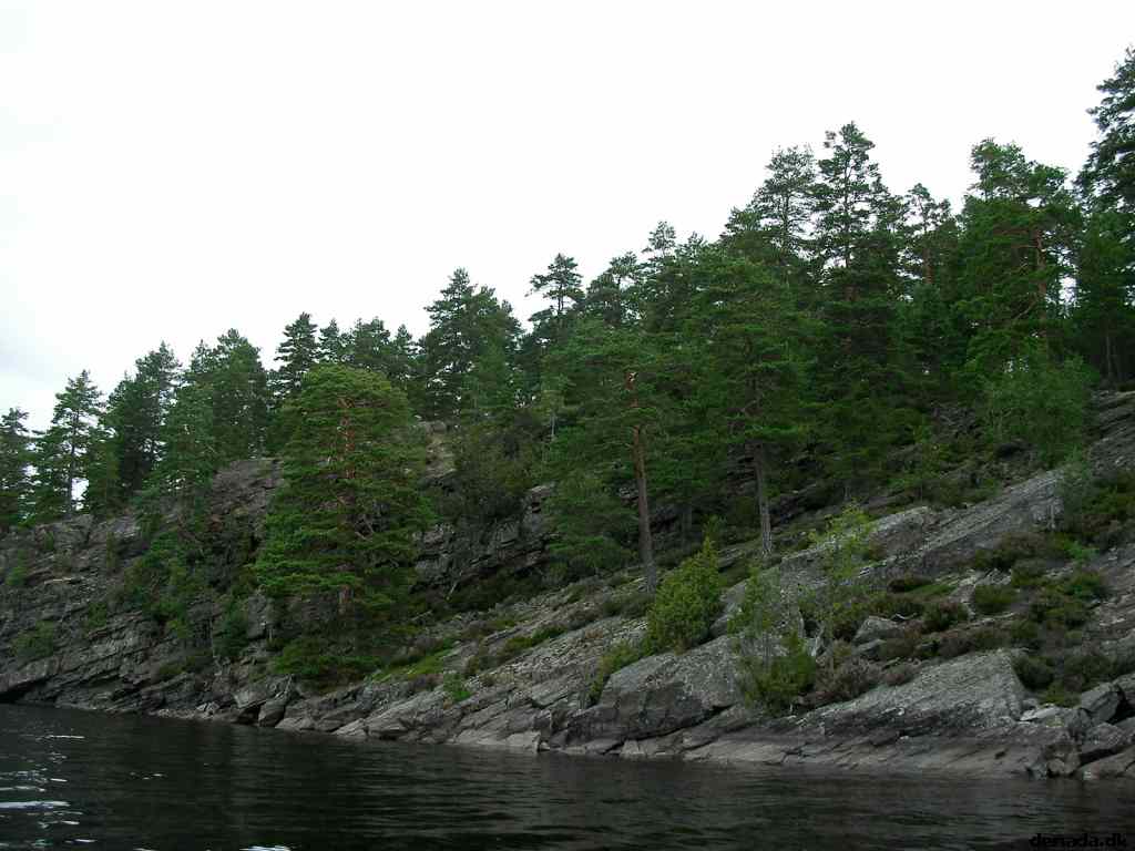 * Image 22