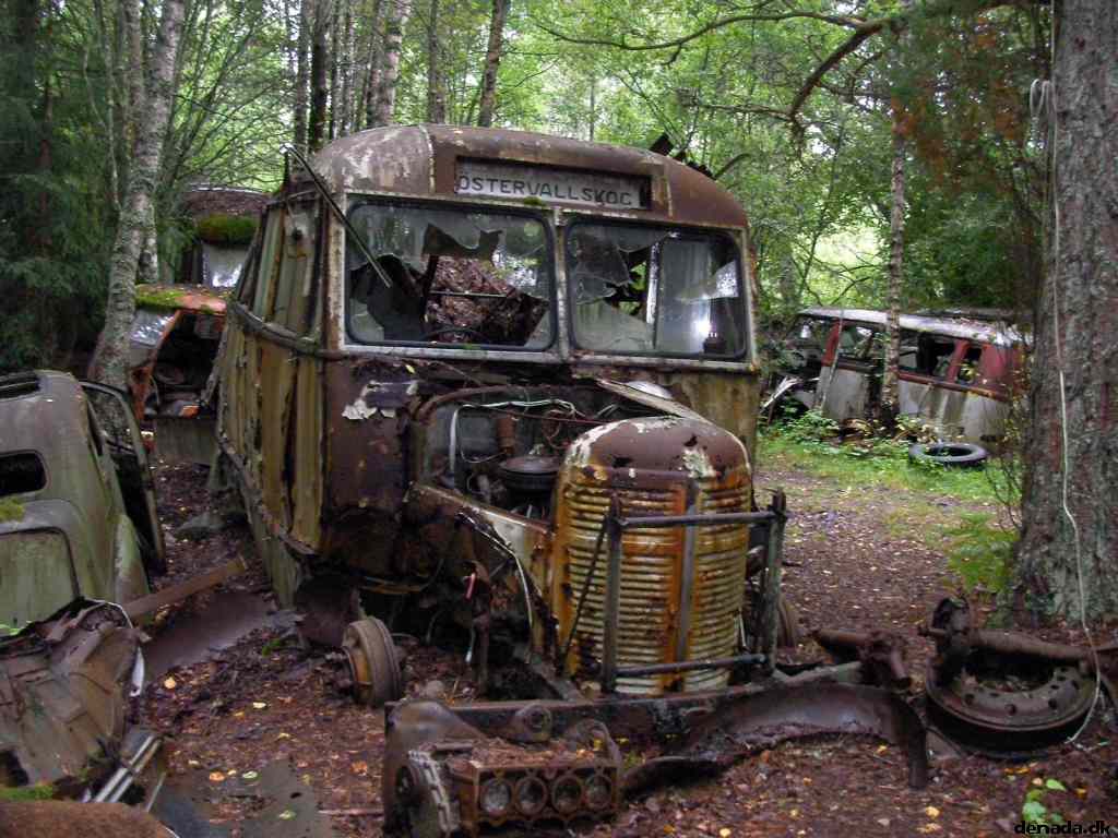* Image 50