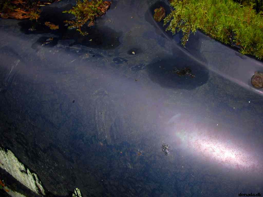 * Image 63
