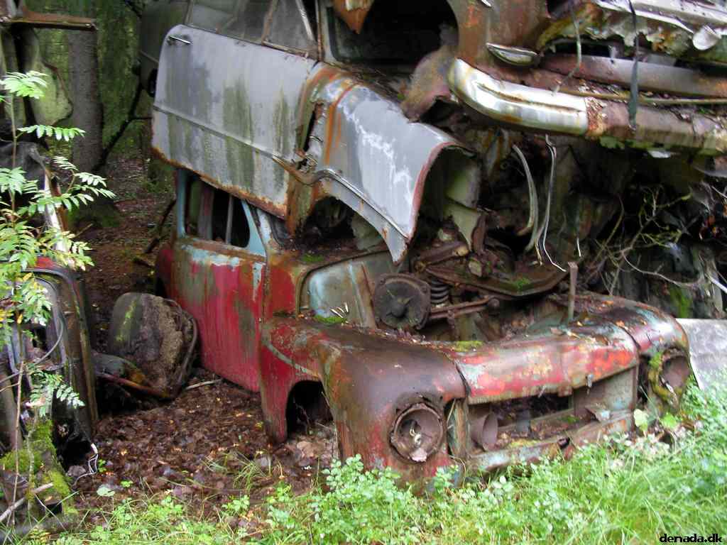 * Image 65