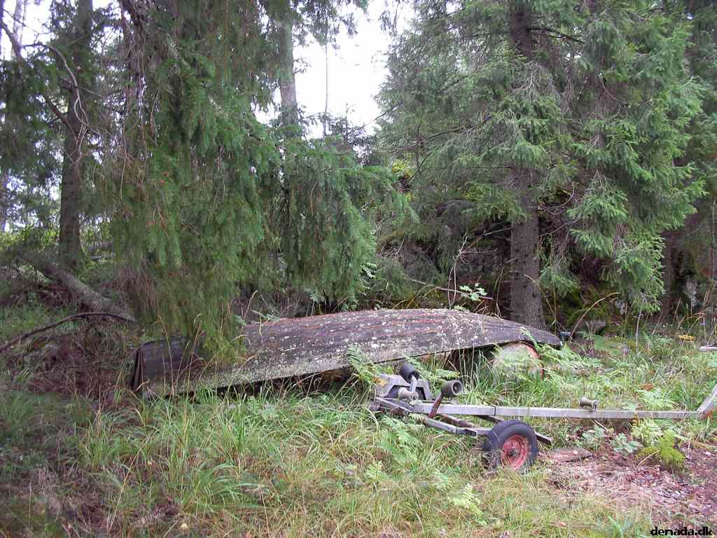 * Image 79