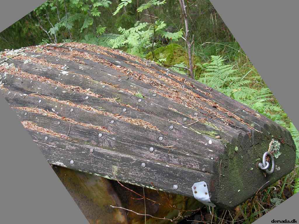 * Image 80