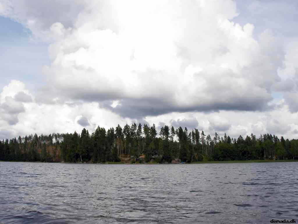 * Image 89