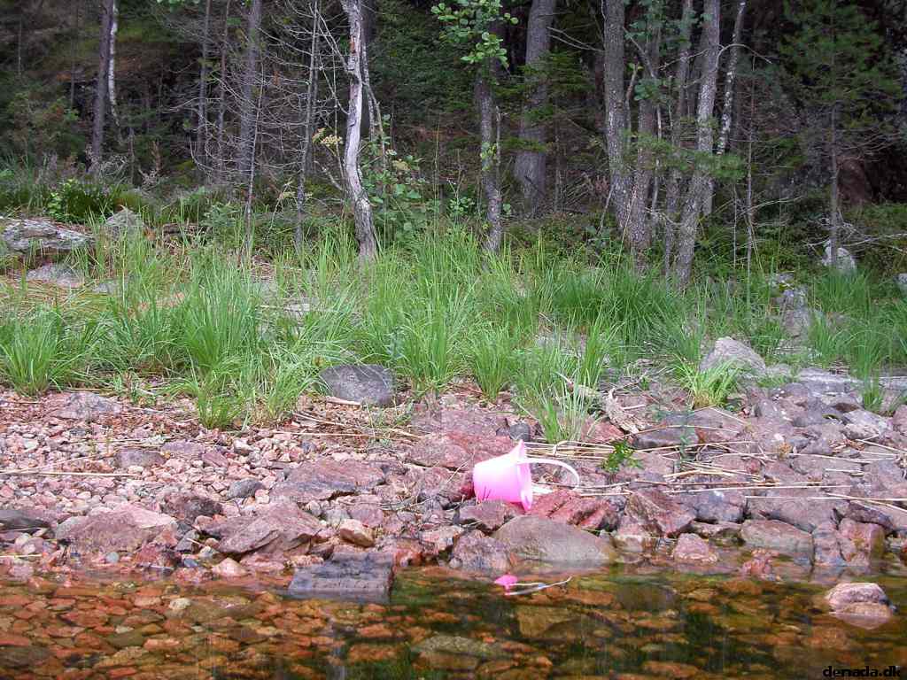 * Image 104