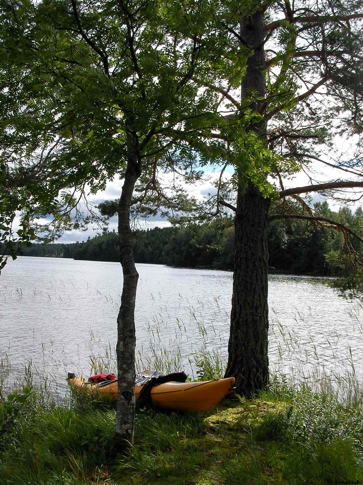 * Image 133