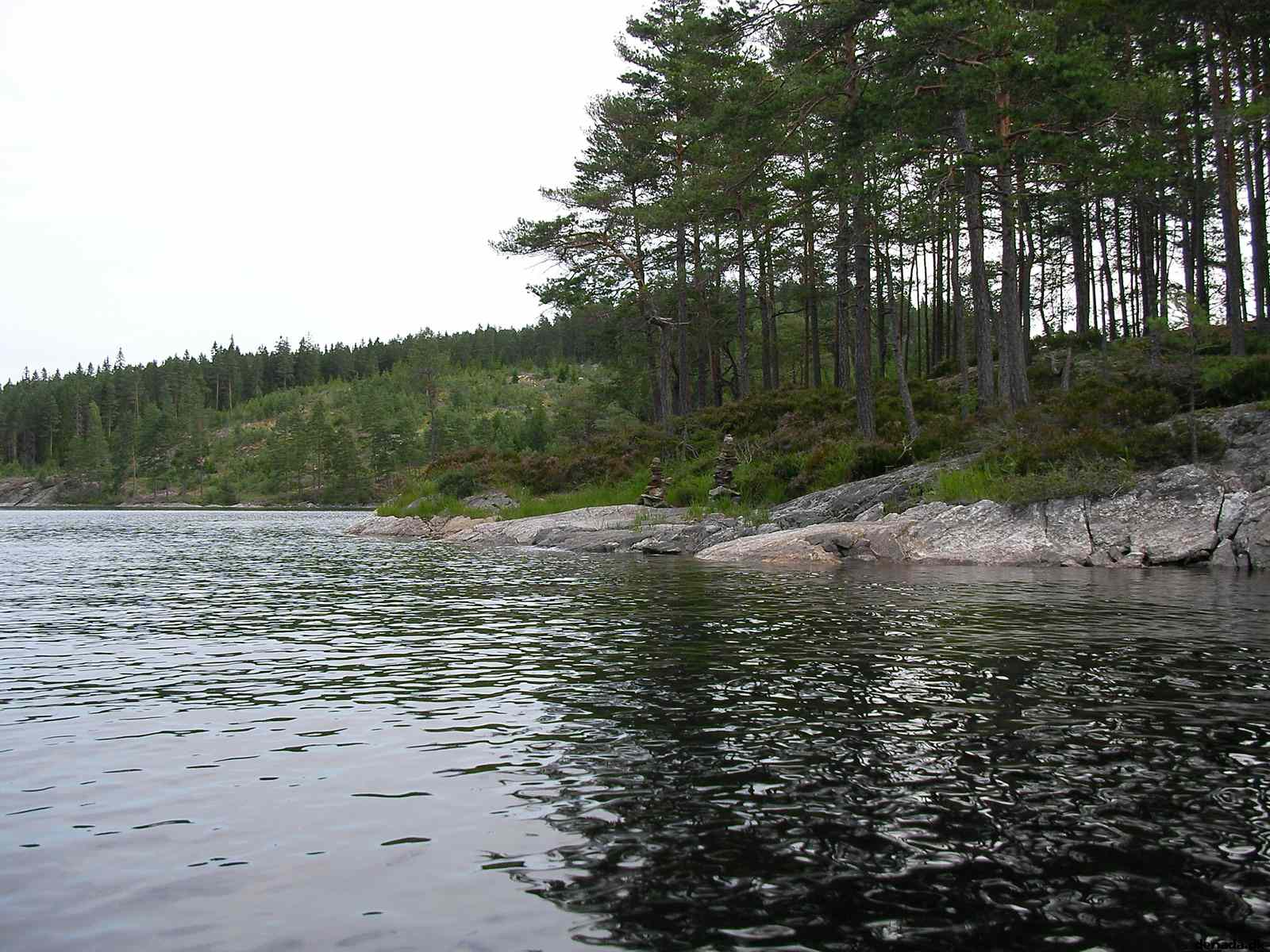 * Image 9