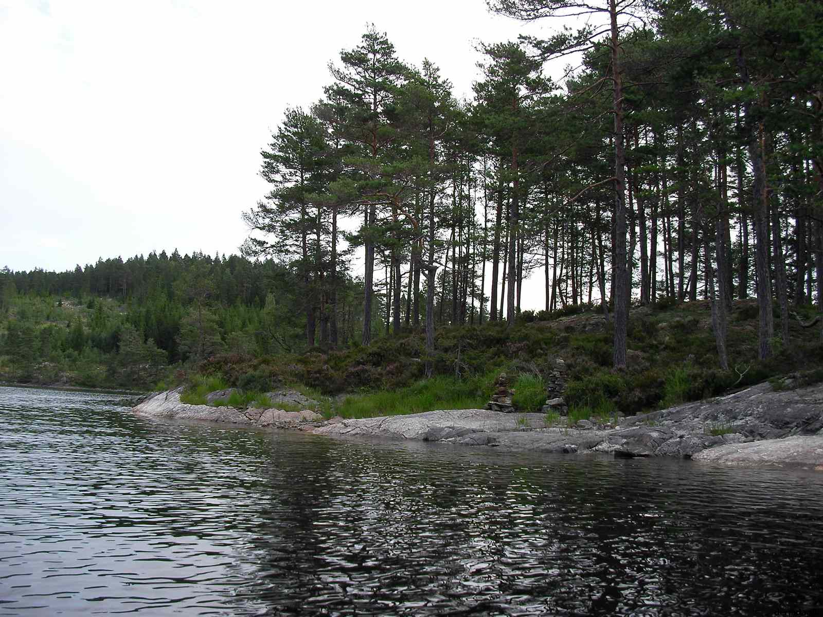 * Image 11