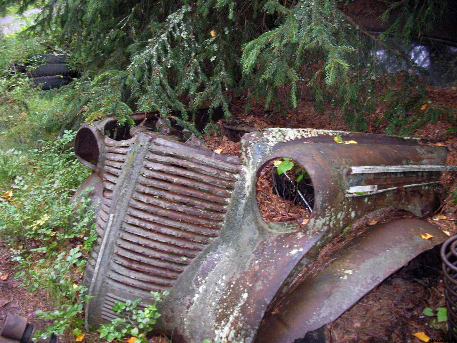 * Image 49