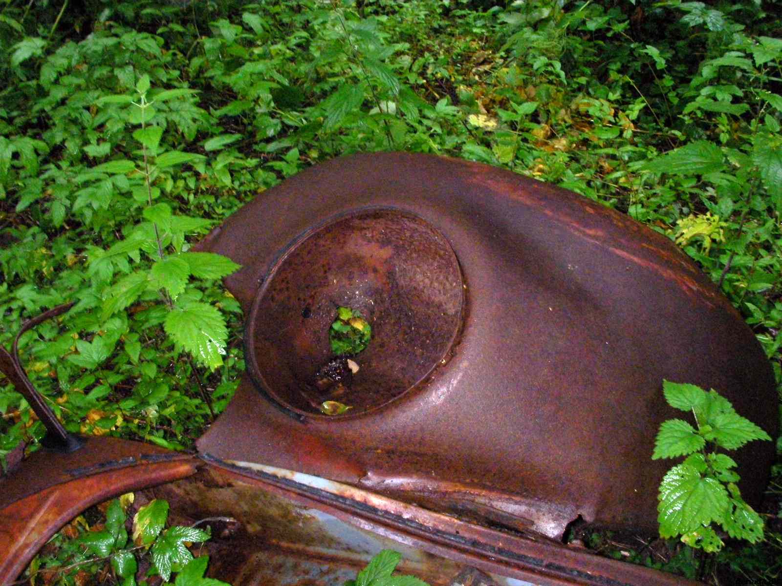 * Image 61