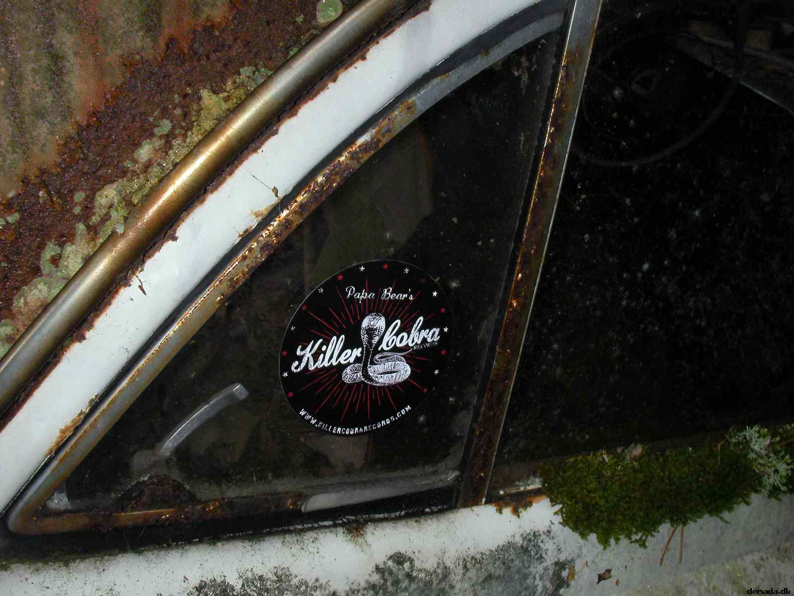 * Image 64