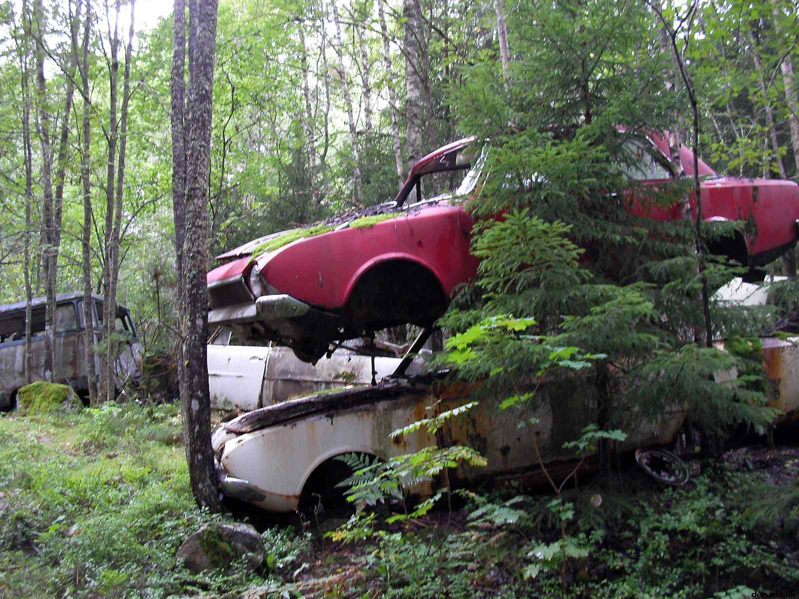 * Image 78