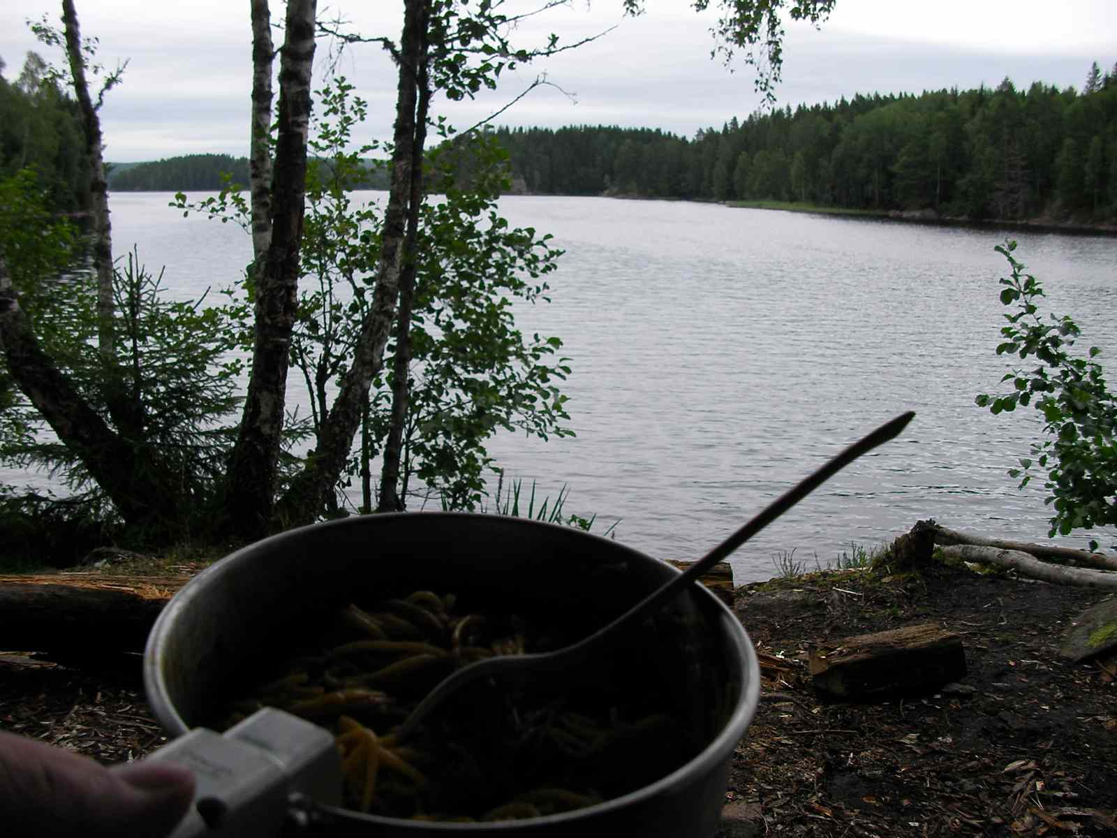 * Image 86