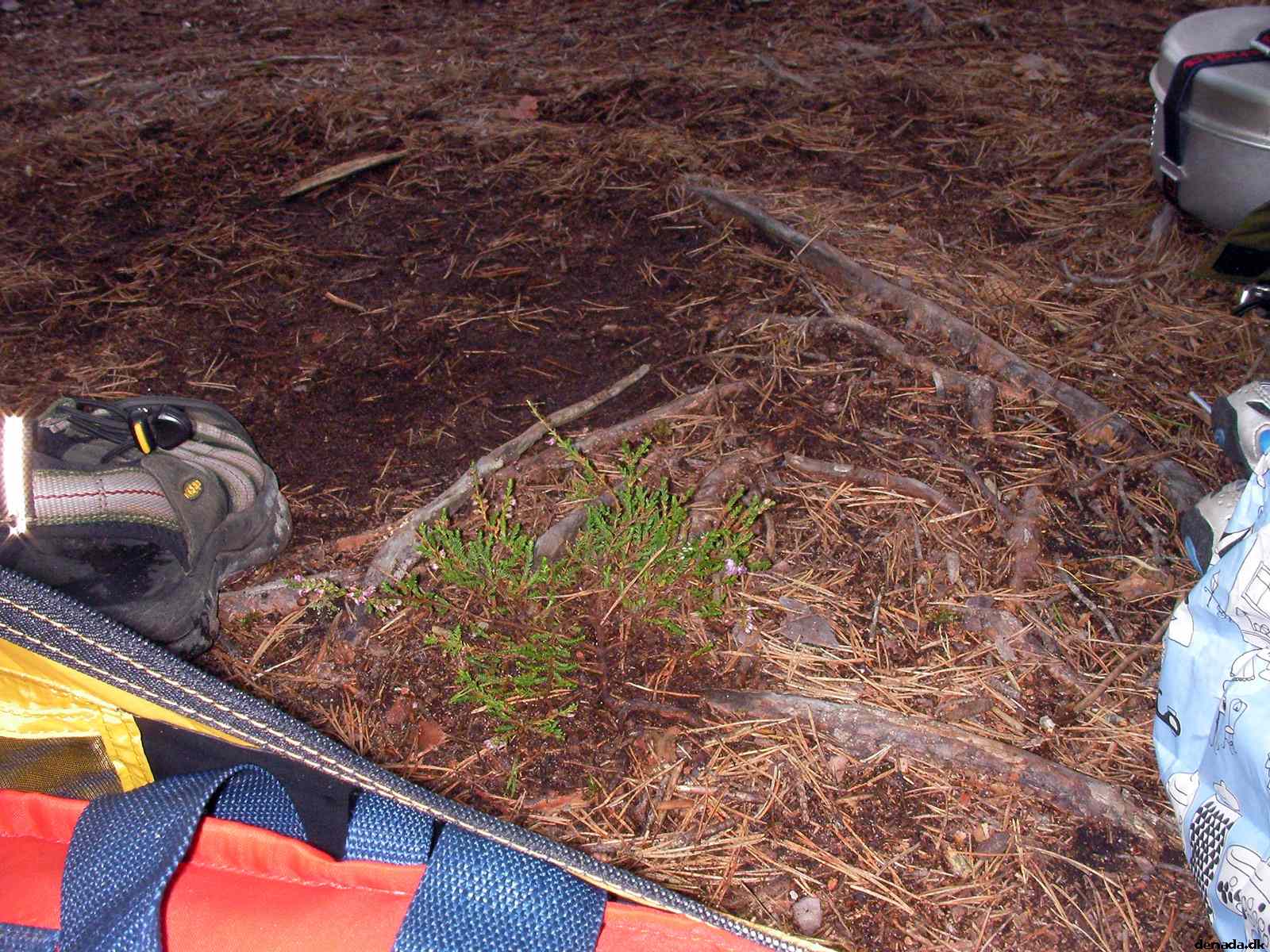 * Image 92