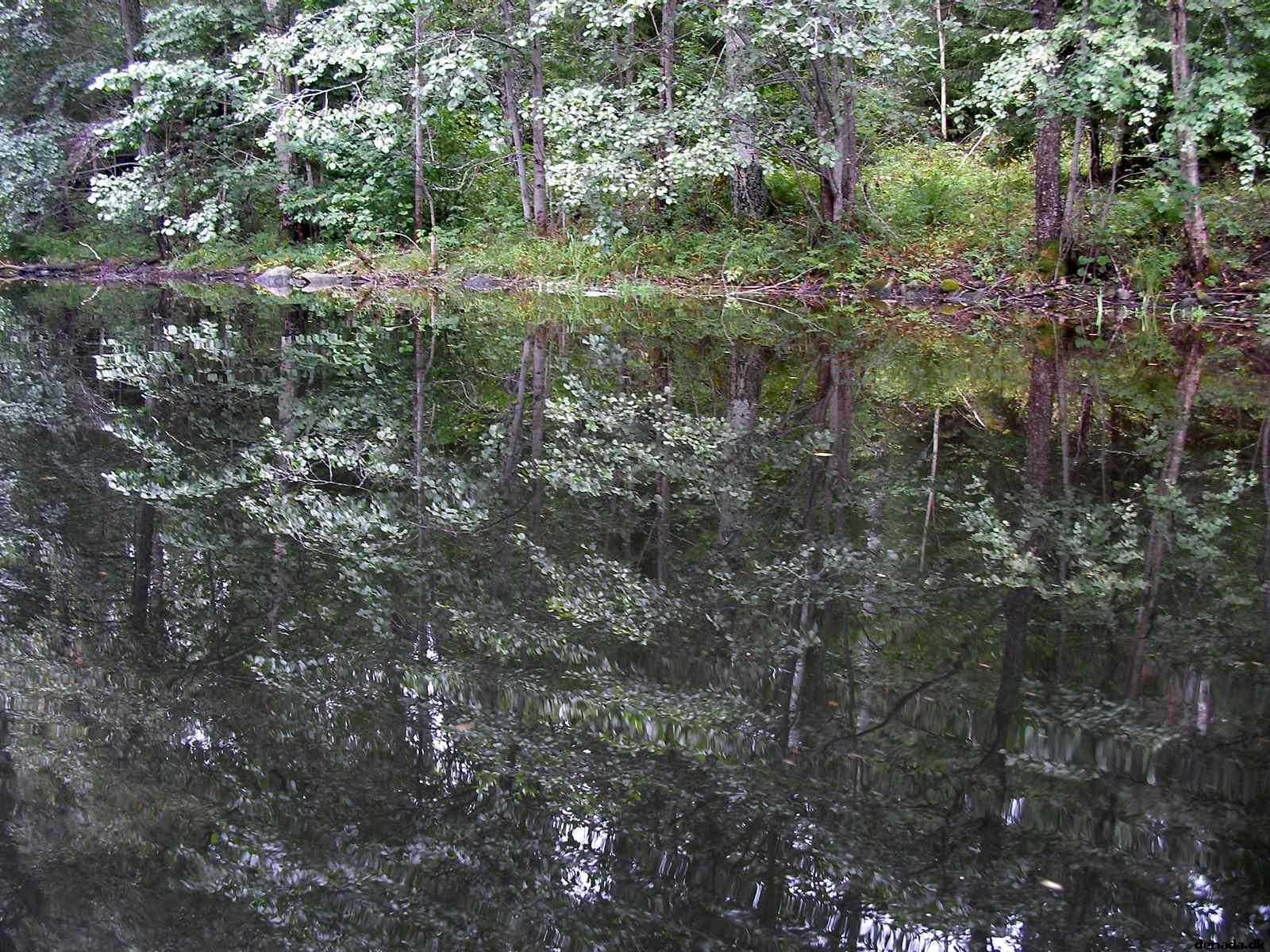 * Image 147