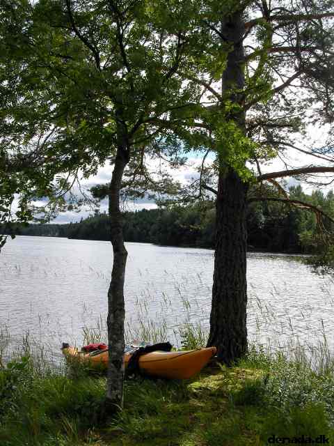 * Image 133