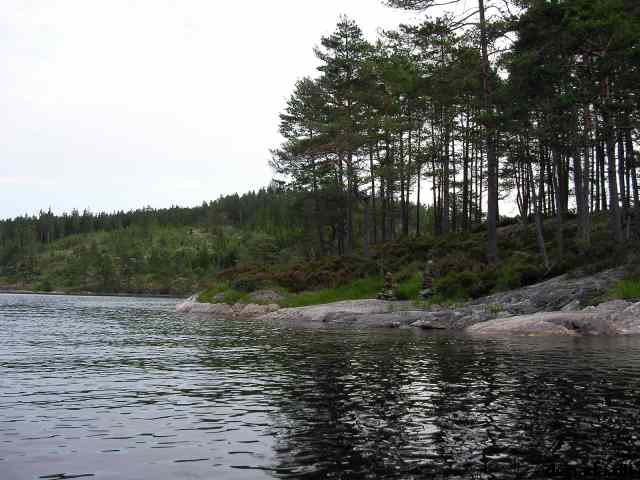 * Image 10