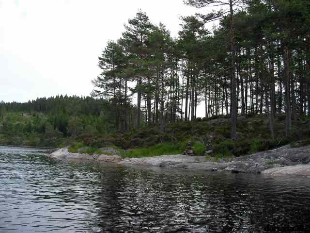* Image 11