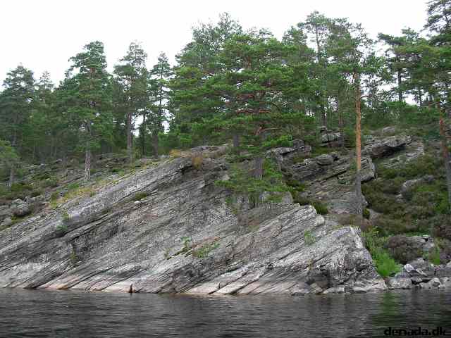 * Image 18