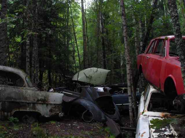 * Image 39