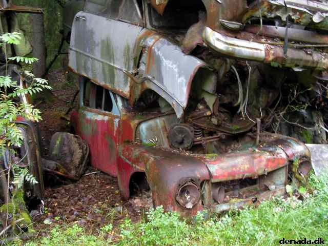 * Image 65