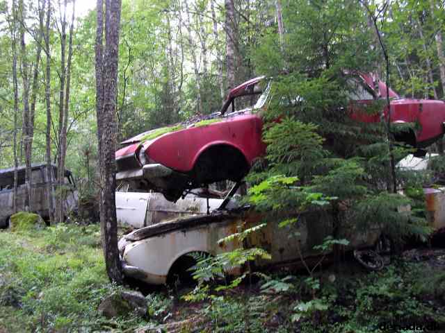 * Image 78