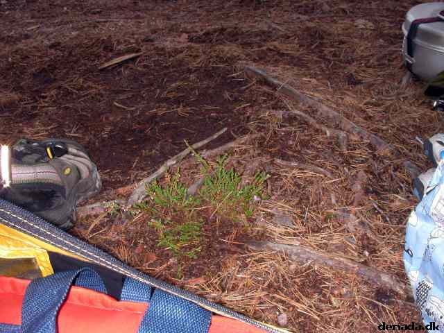 * Image 92