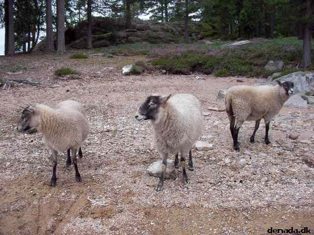 * Image 103