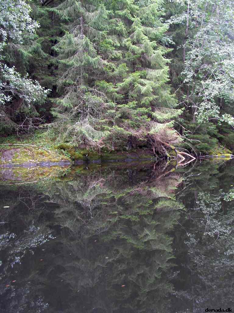 * Image 148