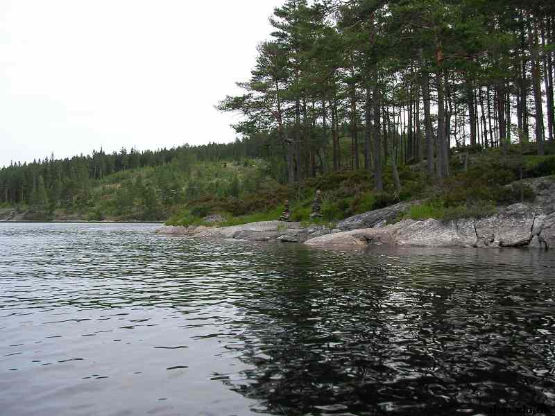 * Image 9