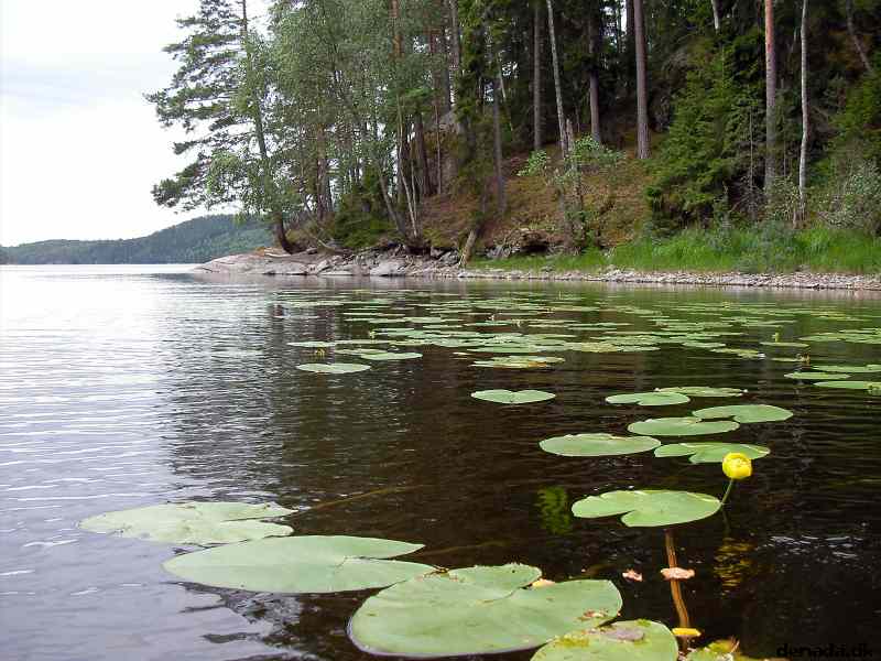 * Image 16