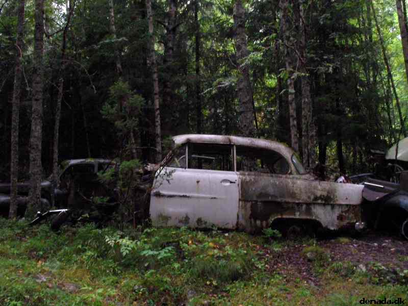 * Image 40