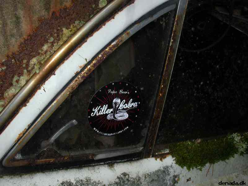 * Image 64