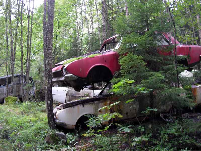 * Image 78