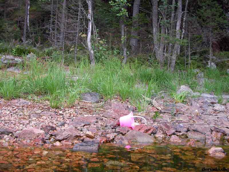* Image 104