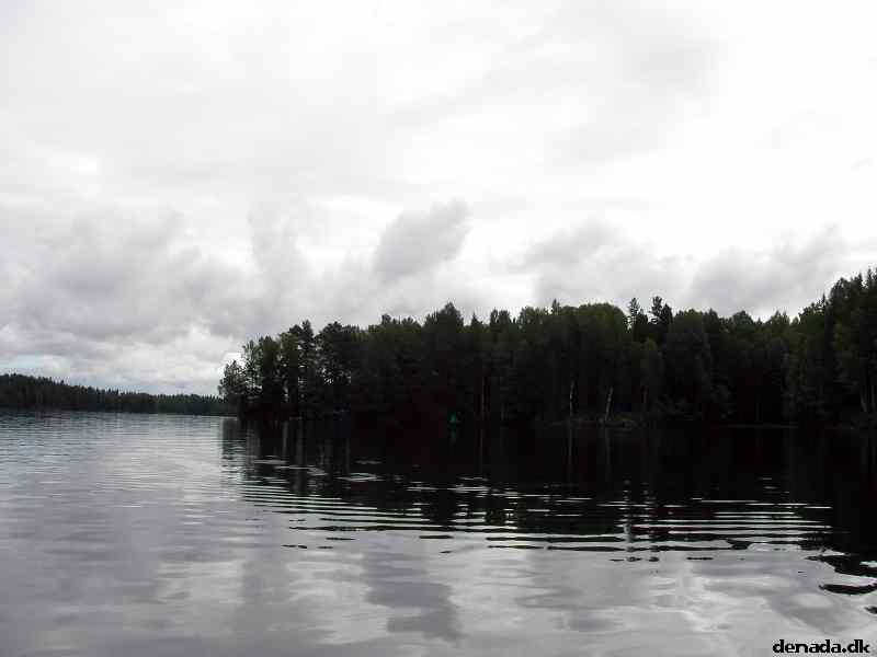 * Image 139