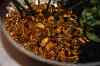 201009180038m.jpg - 2010:09:18 13:58:02