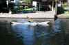 201009190027m.jpg - 2010:09:19 10:30:39